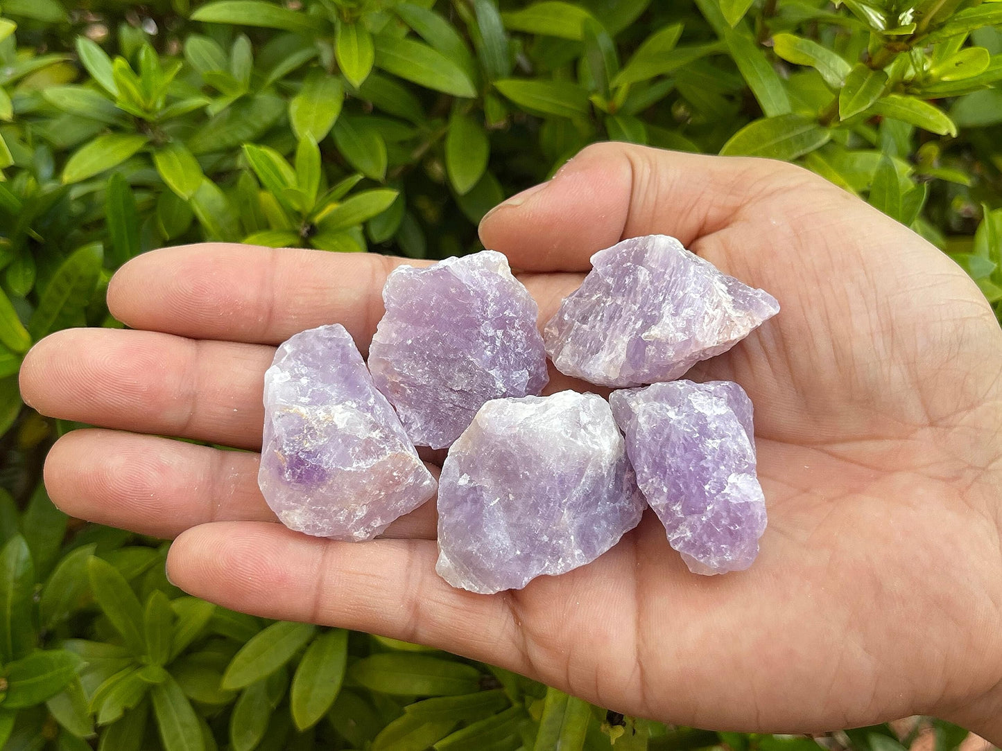 GAF TREASURES Wholesale Raw Amethyst Crystals, Natural Amethyst Stone, Natural Rough Amethyst Crystals, Amethyst Rough, Amethyst Healing Crystals (Amethyst, 0.5 Pound)