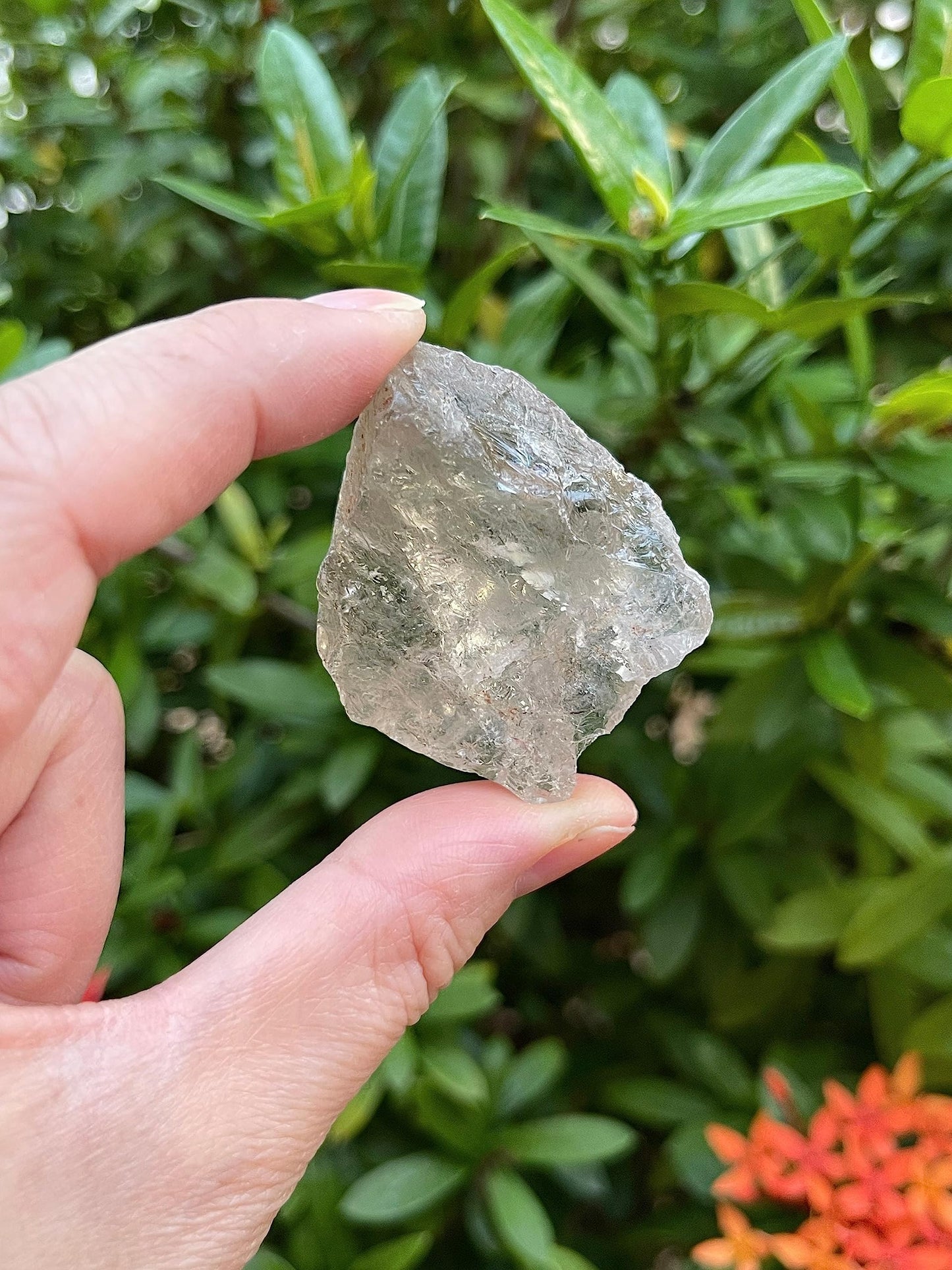 GAF TREASURES Wholesale Raw Smoky Quartz Crystals, Natural Smoky Quartz Stone, Natural Rough Smoky Quartz Crystals, Smoky Quartz Rough, Smoky Quartz Healing Crystals (Smoky Quartz, 0.5 Pound)