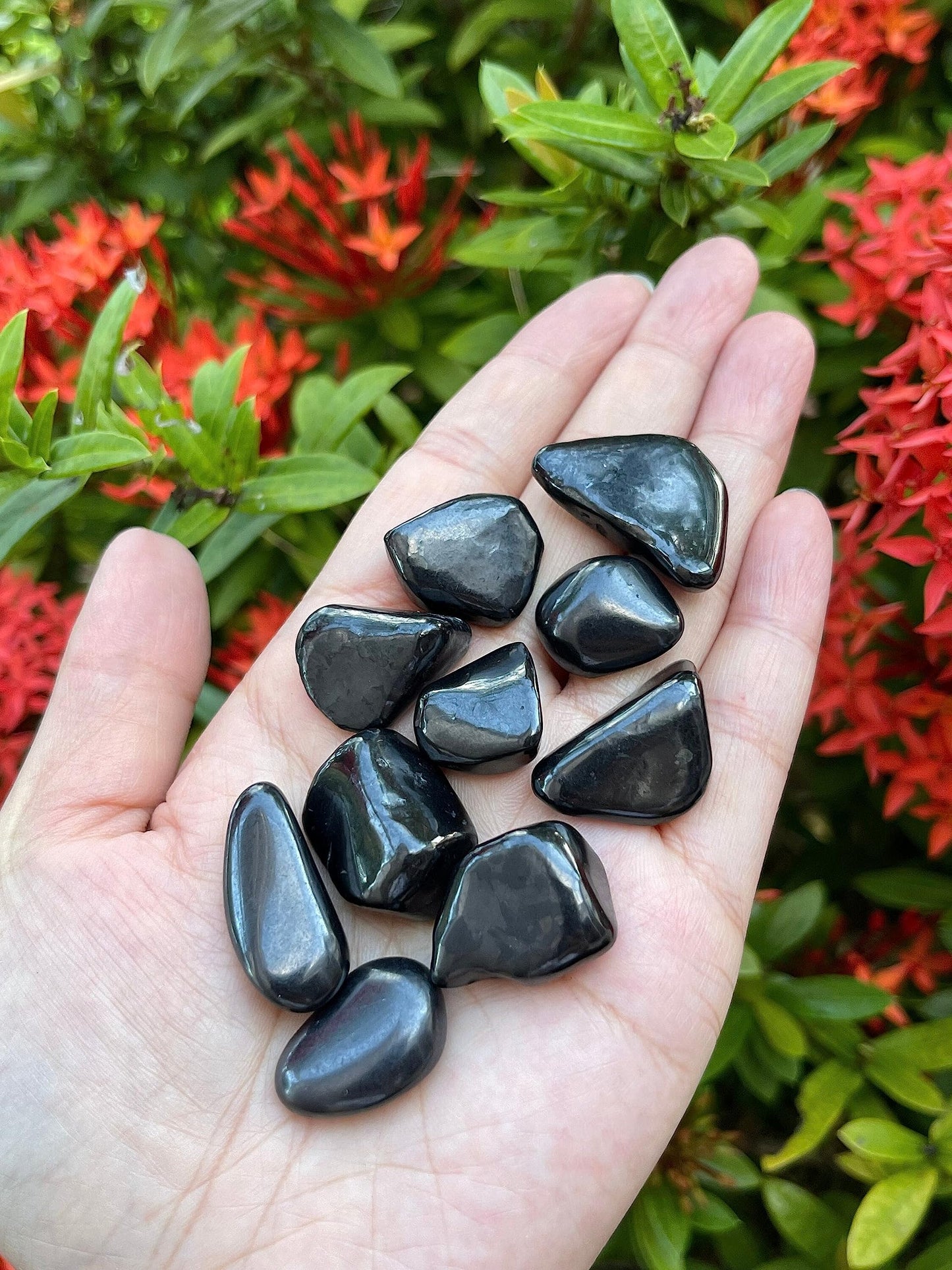 GAF TREASURES 5 Pcs Shungite Tumbled Stones, Polished Natural Shungite Gemstone, Shungite Healing Crystals (Shungite)