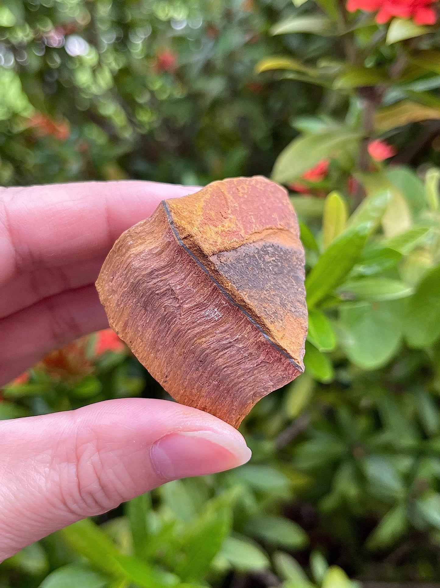 GAF TREASURES Wholesale Raw Tiger Eye Crystals, Natural Tiger Eye Stone, Natural Rough Tiger Eye Crystals, Tiger Eye Rough, Tiger Eye Healing Crystals (Tiger Eye, 0.5 Pound)
