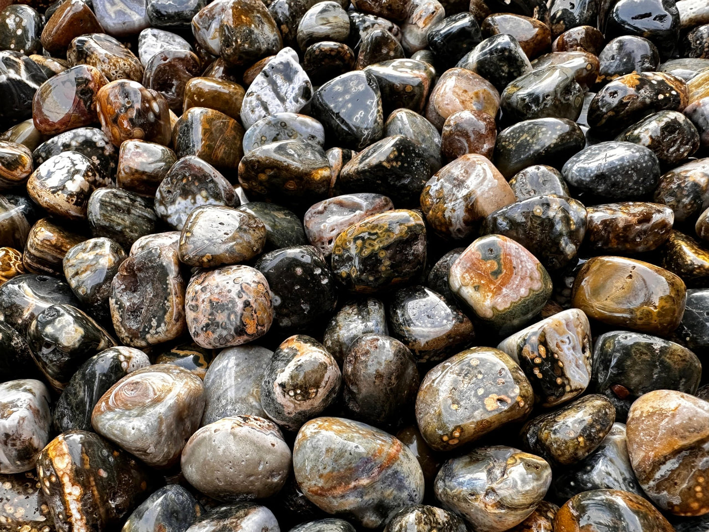 GAF TREASURES 5 Pcs Ocean Jasper Tumbled Stones, Polished Natural Sea Jasper Gemstone, Ocean Jasper Healing Crystals (Ocean Jasper)