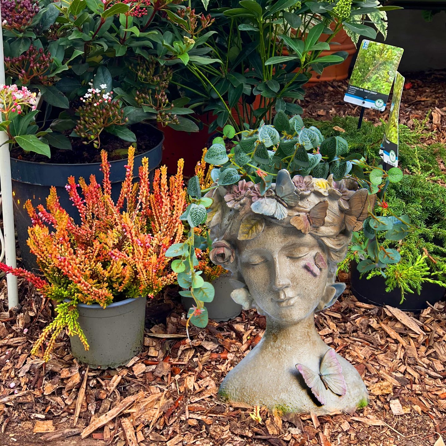 LC LCdecohome Face Flower Pot Head-Planters Succulent - 10 Inch Garden Resin Face Planter with Drainage Hole for Indoor and Outdoor Plant 7.75 * 6.75 * 10 Inch