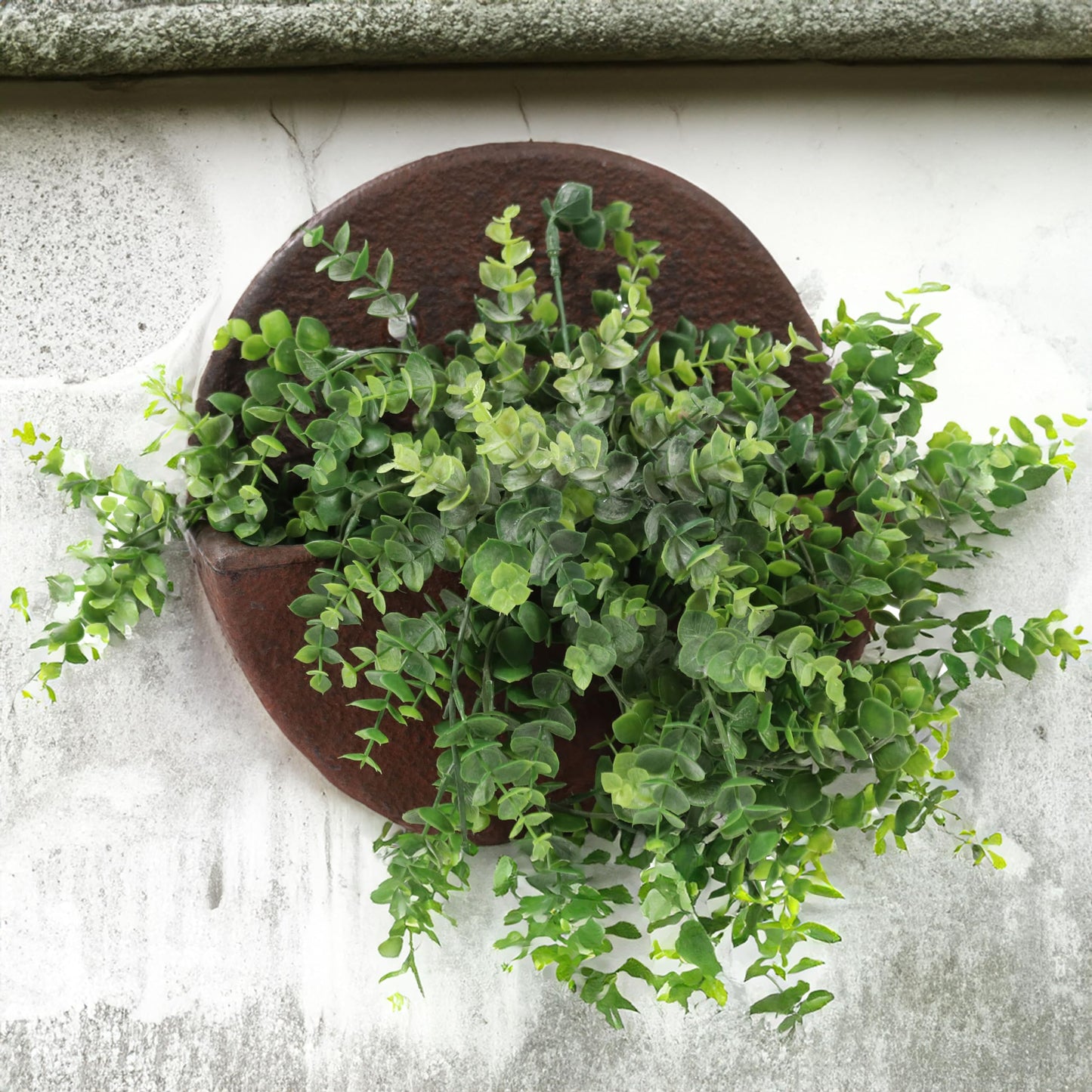 Sunnydaze 12" Round Wall Planter - Polyresin Wall-Hanging Flower Pot for Indoor or Outdoor Use - Dark Brown