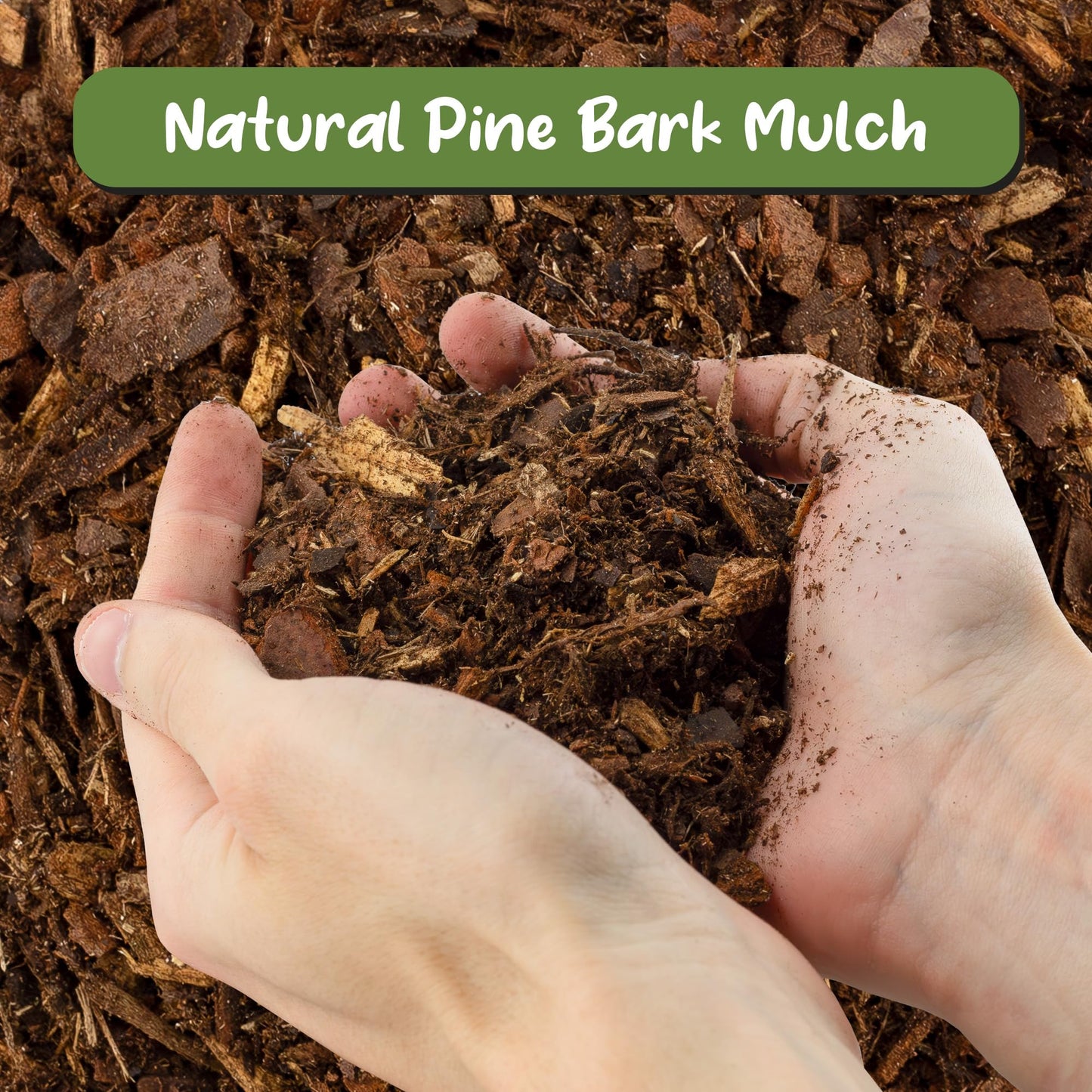 Soil Sunrise 100% Natural Pine Bark Mulch Nuggets (30 Quarts) Small Mulch Chips for Indoor/Outdoor Container Gardening, Ideal for Soil Supplement, Houseplant Mulch, and Terrariums