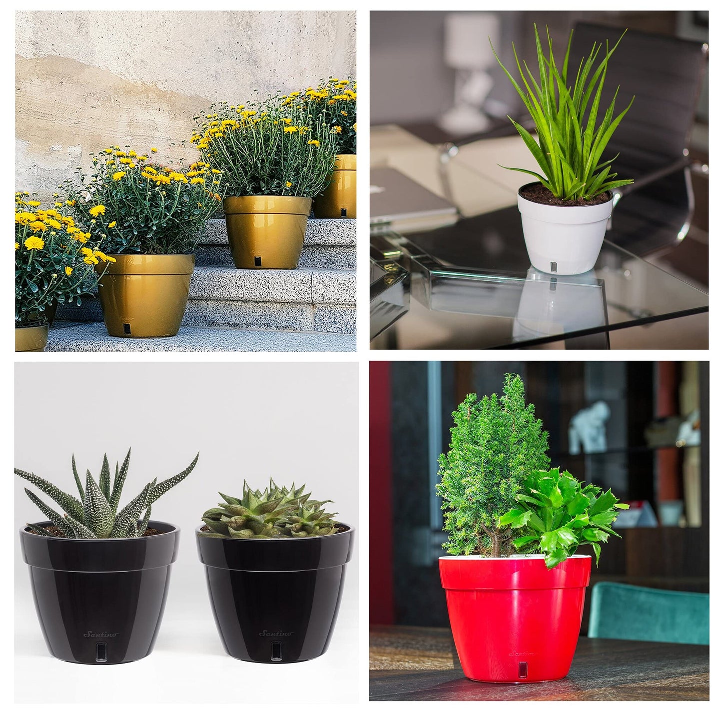 Santino ASTI 9.2 Inch Self Watering Planter Gold/Black for Indoor Plants - Premium Quality Modern Plastic Planter Pot w/Water Level Indicator for All House Herbs, African Violets and Dahlias