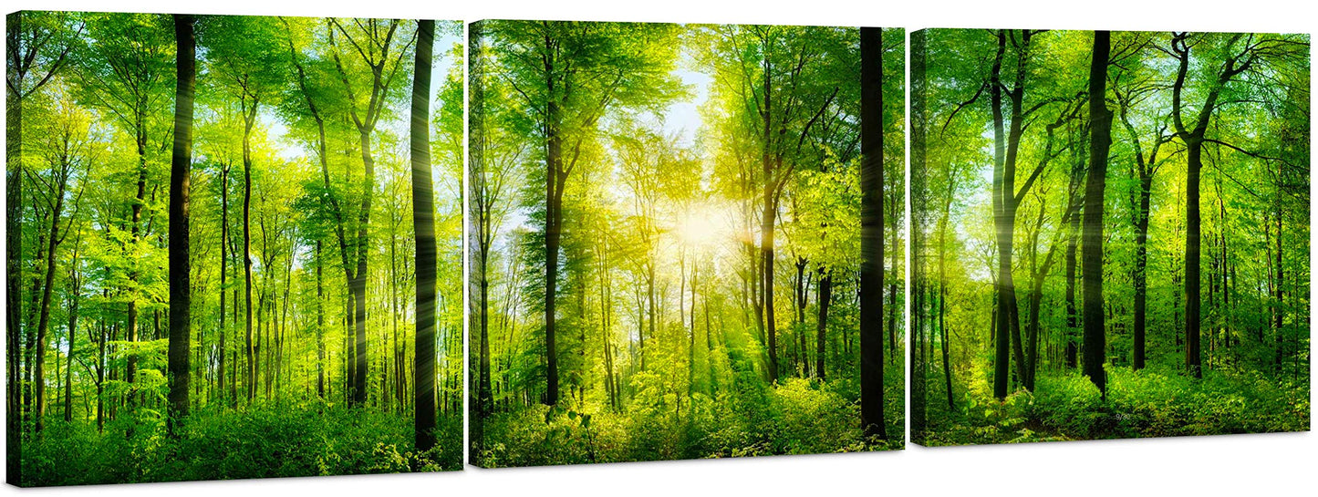 Forest Wall Art Decor - Large Canvas Art 24x72 - 3 Panel Green Nature Print - Forest Picture of Trees Wall Art - Landscape Nature Canvas Wall Art for Living Room, Bedroom & Office