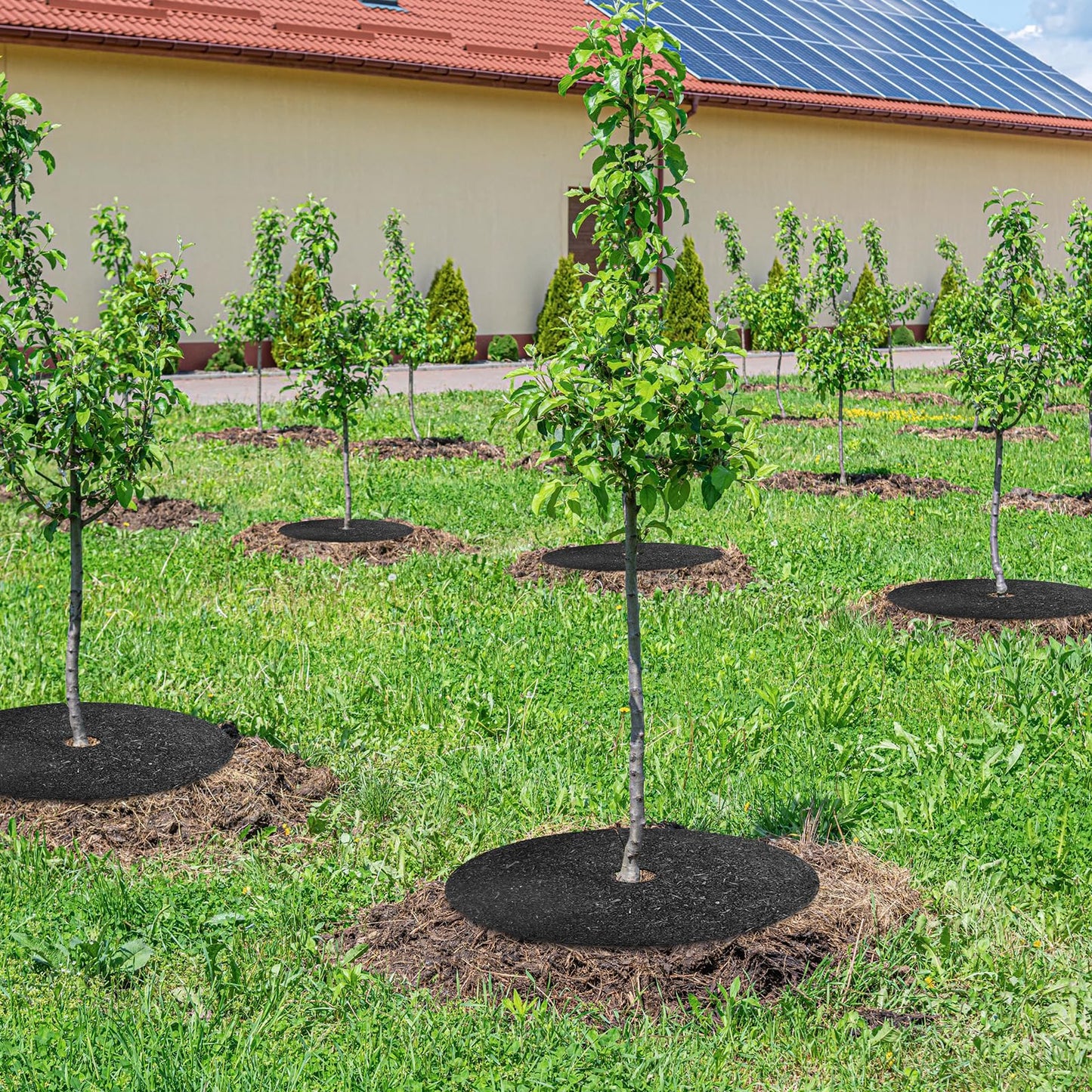 ActiveTrail 6 Pack 36" Rubber Tree Ring,Tree Mulch Mat Tree Weed Barrier for Landscaping Weed Grass Control Root Protection,No Landscape Spike Needed