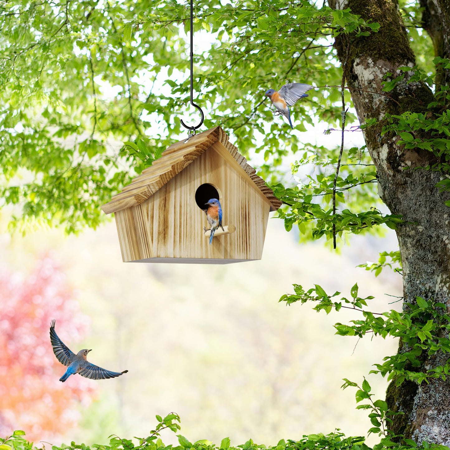 Auslar Bird House, Bird Houses for Outside, Wooden Birdhouse for Outdoors, Hanging Bluebird House for Cardinals Finch Wren Swallow for Wild Bird Viewing