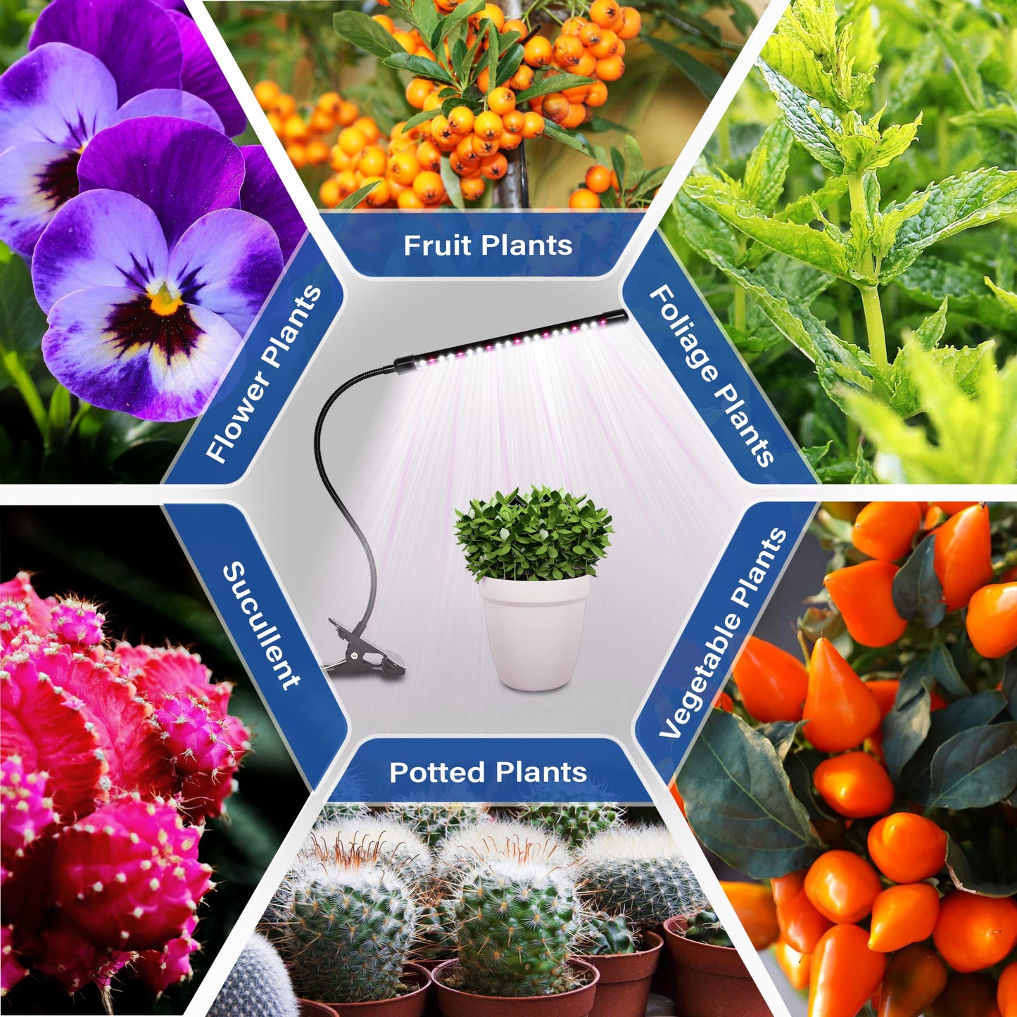 iPower 21 LED Grow Light with Full Spectrum for Indoor Plants, Adjustable Gooseneck, 10 Dimmable Levels&3 Light Modes, Auto 6H/9H/12H Timer, 2 Pack