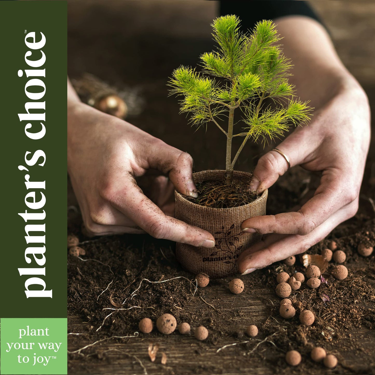 Bonsai Starter Kit - Gardening Mothers Day Gifts for Women & Men - Bonsai Tree Growing Garden Crafts Hobby Kits for Adults, Unique DIY Hobbies for Plant Lovers - Unusual Gifts Ideas Mom, Her, Friend