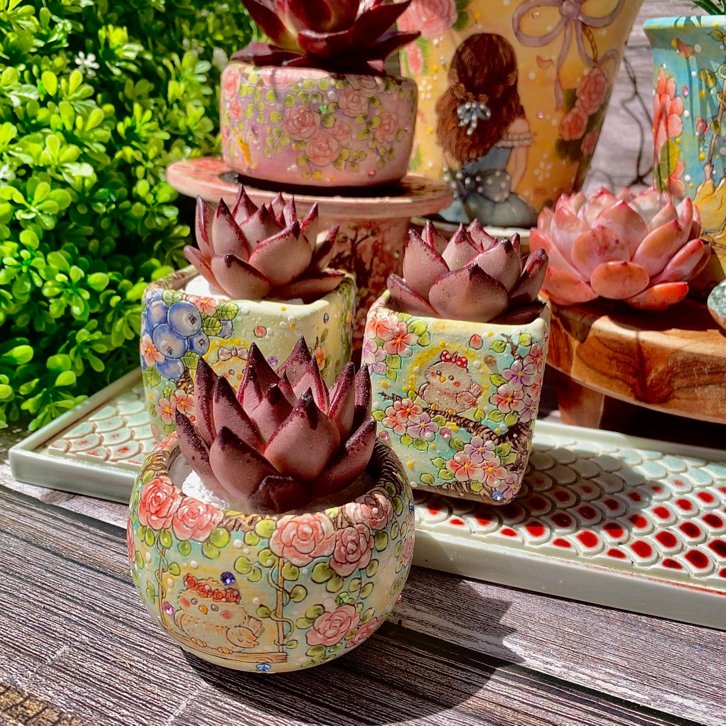 Echeveria agavoides Romeo Succulent Kit - with Plastic Pot, 1 Head 2" Live Plant, Compressed Soil & Guide, for Garden Indoor Office Desk (1, Echeveria agavoides Romeo)