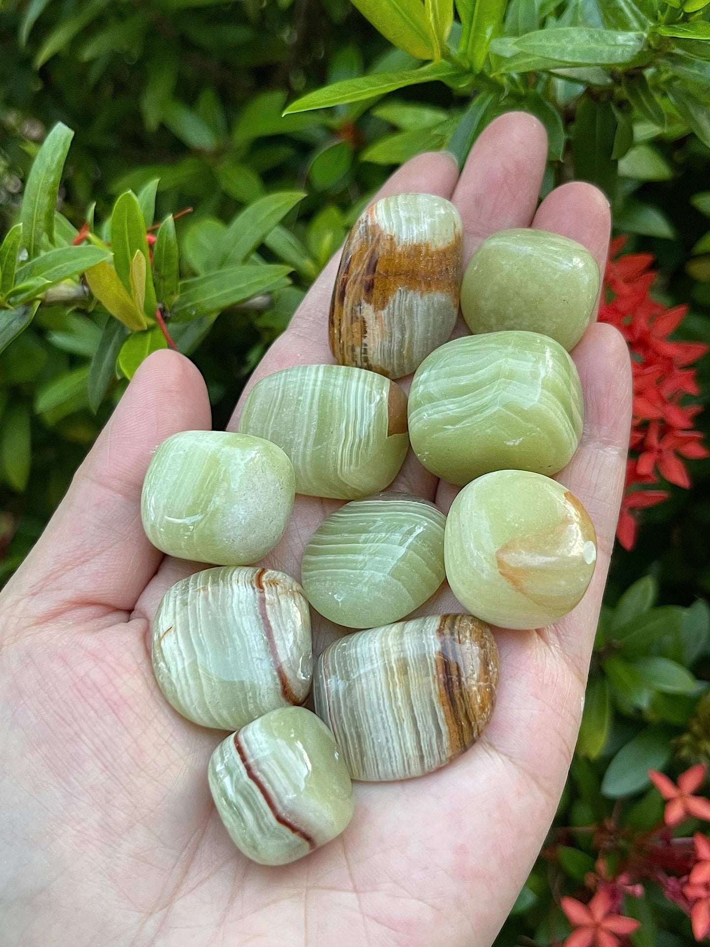 GAF TREASURES 5 Pcs Green Onyx Tumbled Stones, Polished Green Onyx Gemstone, Green Onyx Healing Crystals (Green Onyx)