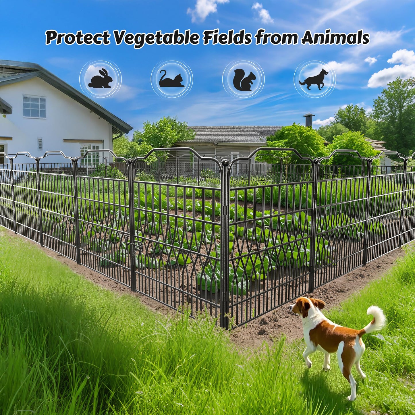 Bepatio 5 Panels Tall Garden Fence with Latch, 43.3in (H) x 14.8ft (L) Dog Fence Outdoor for Yard, Arc Metal Fencing Panels, Animal Barrier Fencing for Outdoor, Patio, Flower Bed