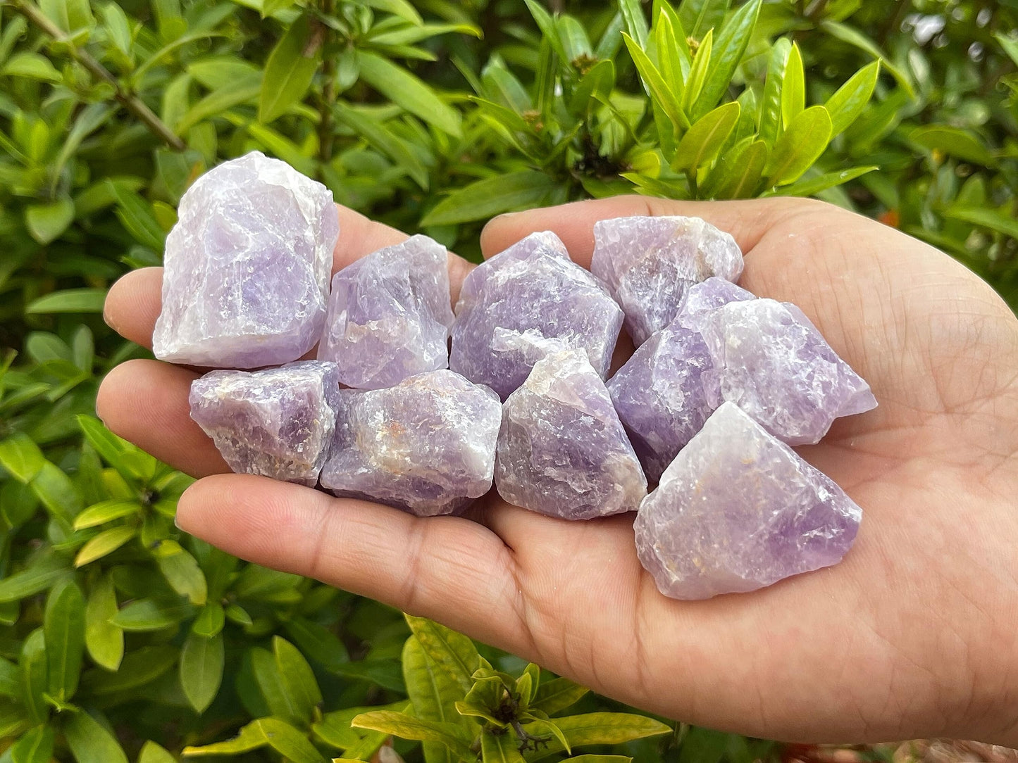 GAF TREASURES Wholesale Raw Amethyst Crystals, Natural Amethyst Stone, Natural Rough Amethyst Crystals, Amethyst Rough, Amethyst Healing Crystals (Amethyst, 0.5 Pound)