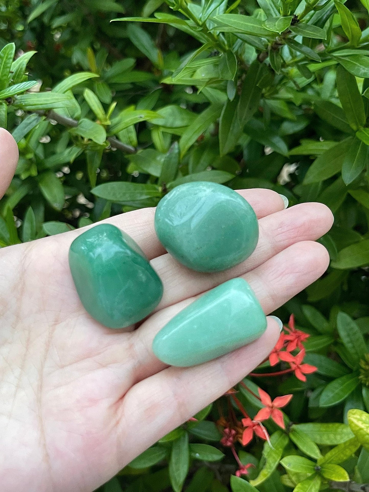 GAF TREASURES 5 Pcs Green Aventurine Tumbled Stones, Polished Natural Green Aventurine Gemstone, Green Aventurine Healing Crystals (Green Aventurine)