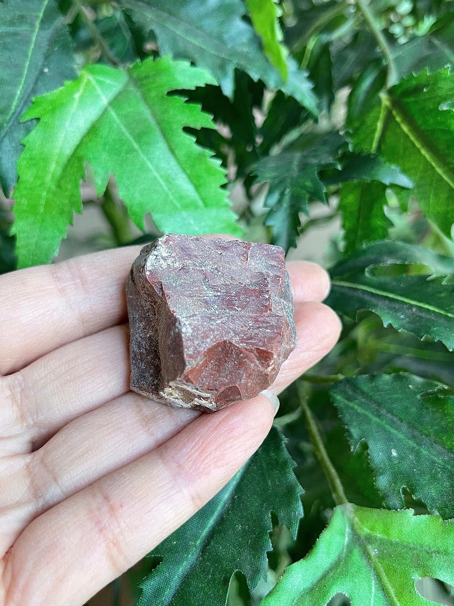 GAF TREASURES Wholesale Raw Bloodstone Crystals, Natural Bloodstone Stone, Natural Rough Bloodstone Crystals, Bloodstone Rough, Bloodstone Healing Crystals (Bloodstone, 0.5 Pound)