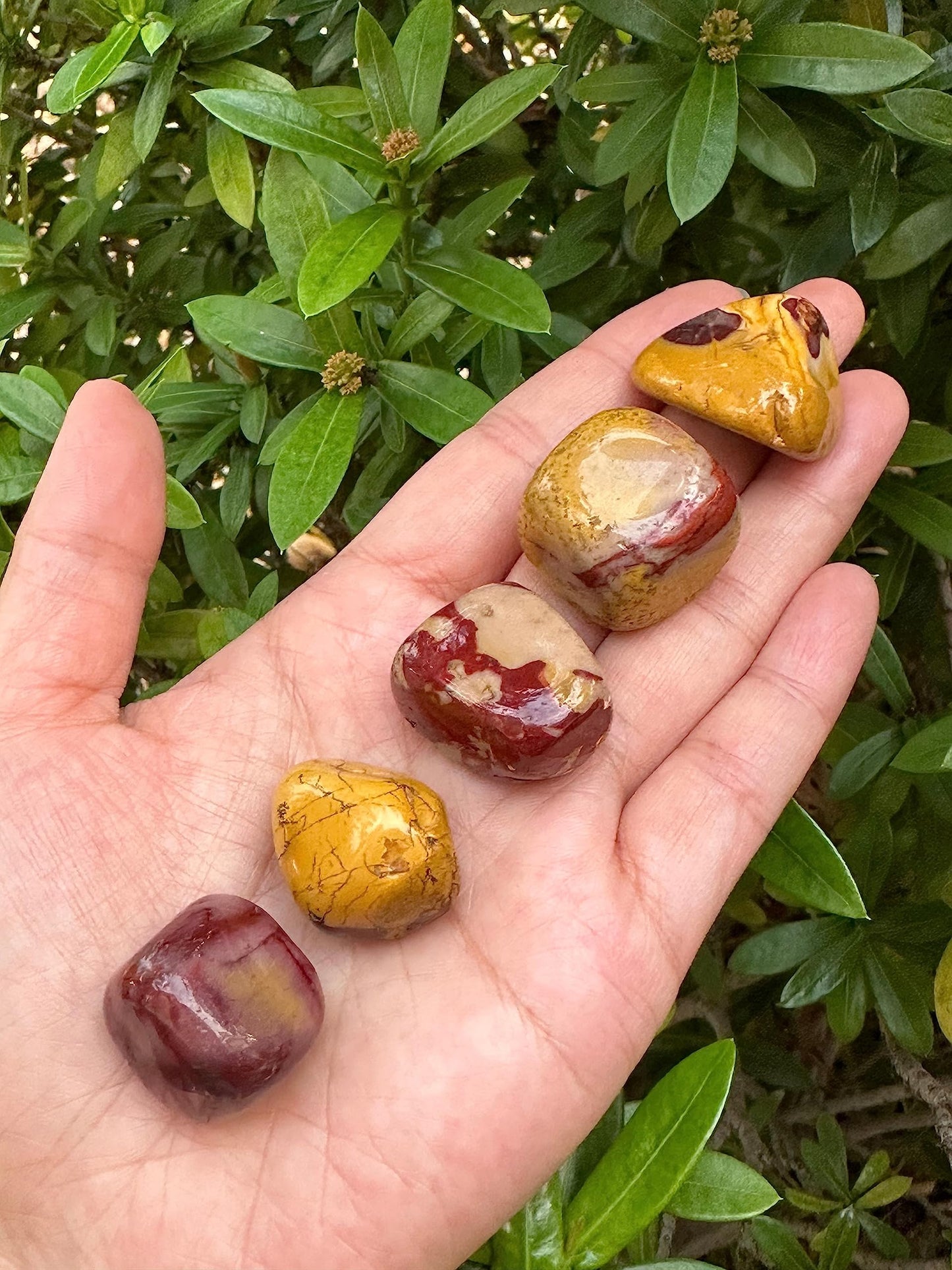 GAF TREASURES 5 Pcs Mookaite Tumbled Stones, Polished Mookaite Gemstone, Mookaite Healing Crystals (Mookaite)