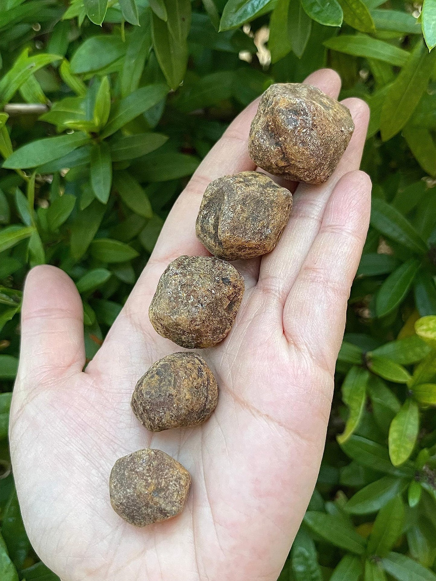 GAF TREASURES Wholesale Raw Garnet Crystals, Natural Garnet Stone, Natural Rough Garnet Crystals, Garnet Rough, Garnet Healing Crystals (Garnet, 0.25 Pound)