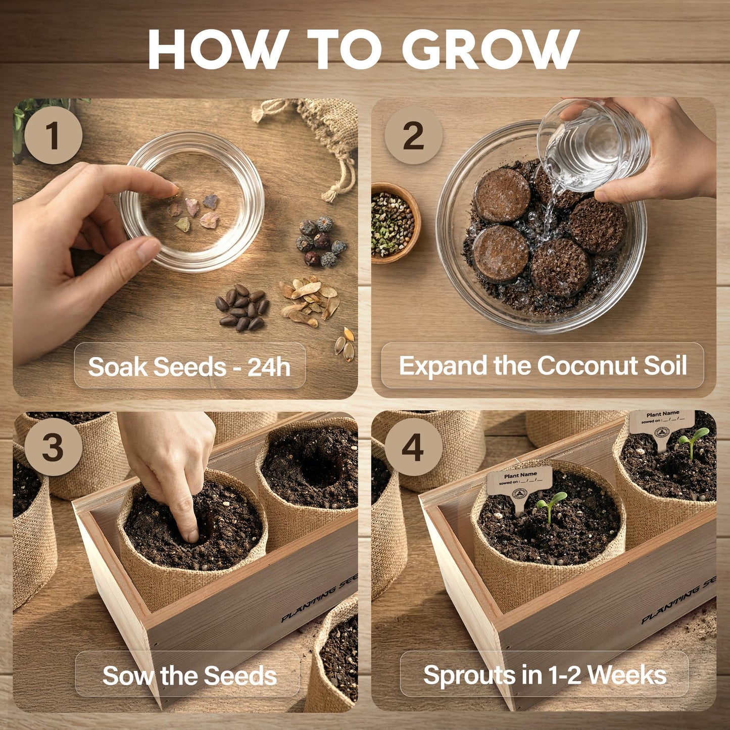 AVERGO Bonsai Tree Kit Deluxe - 5X Unique Japanese Bonzai Trees | Complete Indoor Bonsai Starter Kits from Seeds to Trees – DIY Gardening Gifts for Mother's Day, Women & Men