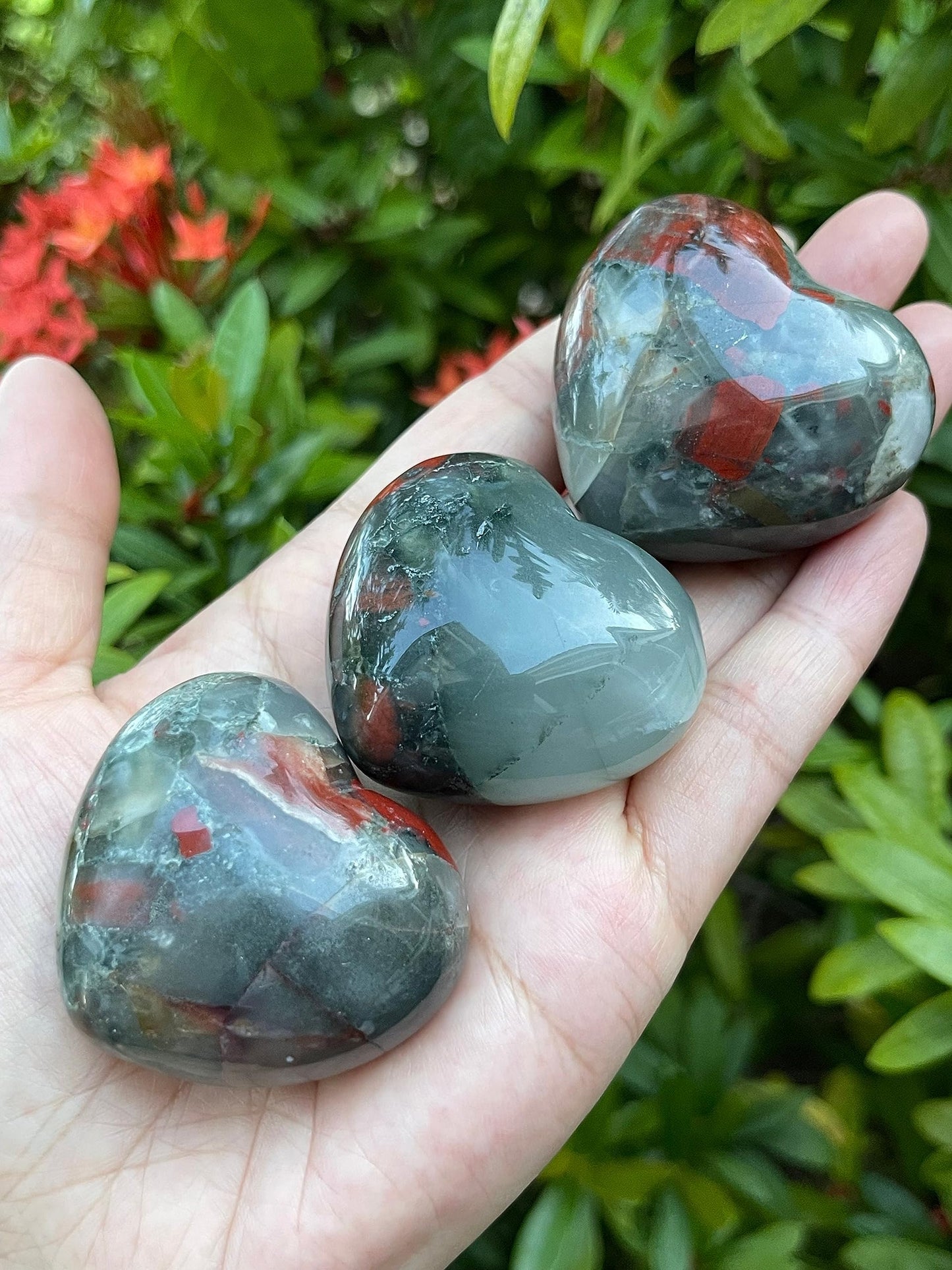 GAF TREASURES Bloodstone Gemstone Hearts, Polished Bloodstone Puffy Hearts, Bloodstone Crystal Palm Stone, Bloodstone Healing Crystal Hearts (1 Heart)