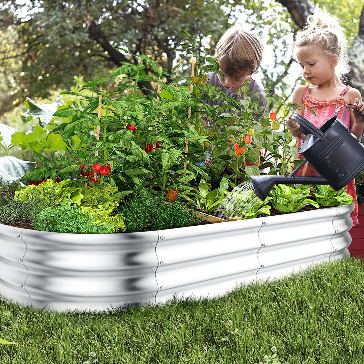 HOOPLE 2 Pack Raised Garden Bed 6x3x1FT, Galvanized Metal Raised Garden Bed Outdoor, Oval Design with Open Base for Better Drainage, Easy Gardening for Vegetables, Flowers & Herbs