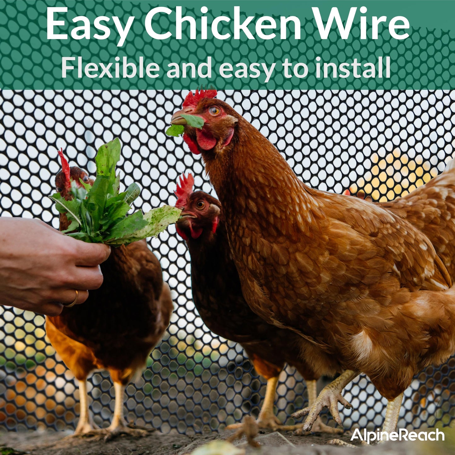 AlpineReach Plastic Wire Mesh 1.3ft x 30ft Fence Roll with Zip Ties - Ideal for Poultry, Dogs, Rabbit Barrier & Gardening, Durable Chicken Mesh, Versatile Rigid Fencing & Netting, Black (15.7" x 360")