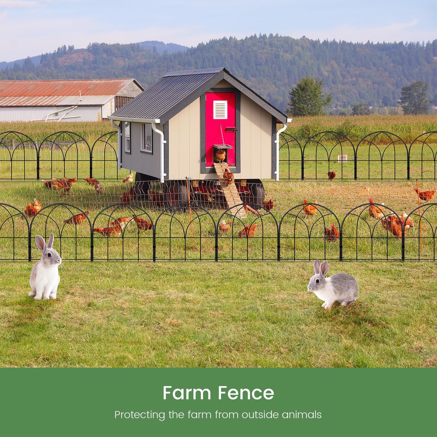 Youpehom Small 12.55"*16.53" Decorative Garden Fencing Border, No Dig Fences Barrier, Black Metal Fence, Garden Edging Fence Panel, Dog Fence Outdoor for Yard, Flower Bed (6 pcs)