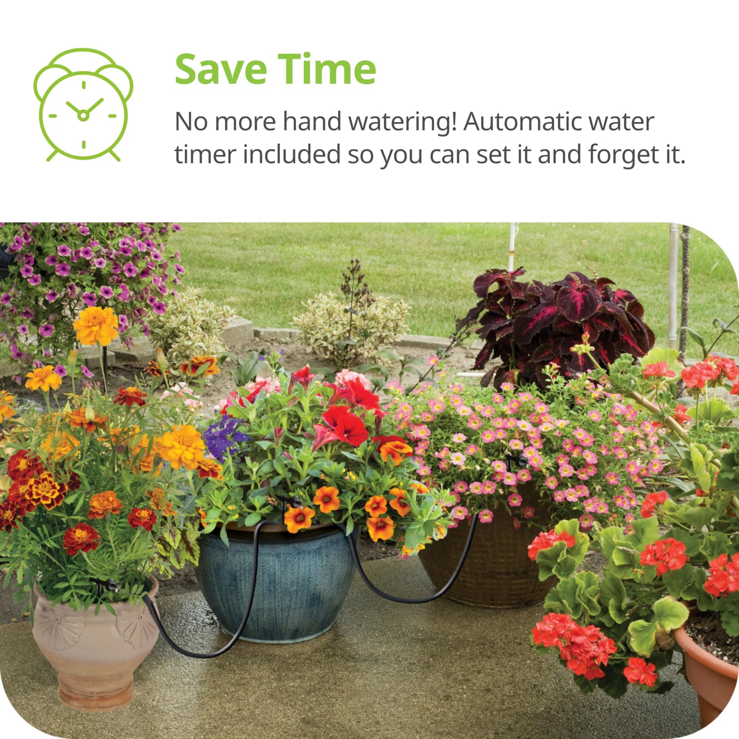 Raindrip R560DP Drip Watering System, Automatic Drip Irrigation System with Timer for Containers and Hanging Baskets, Waters up to 20 Plants, Includes 20 Drippers, Black