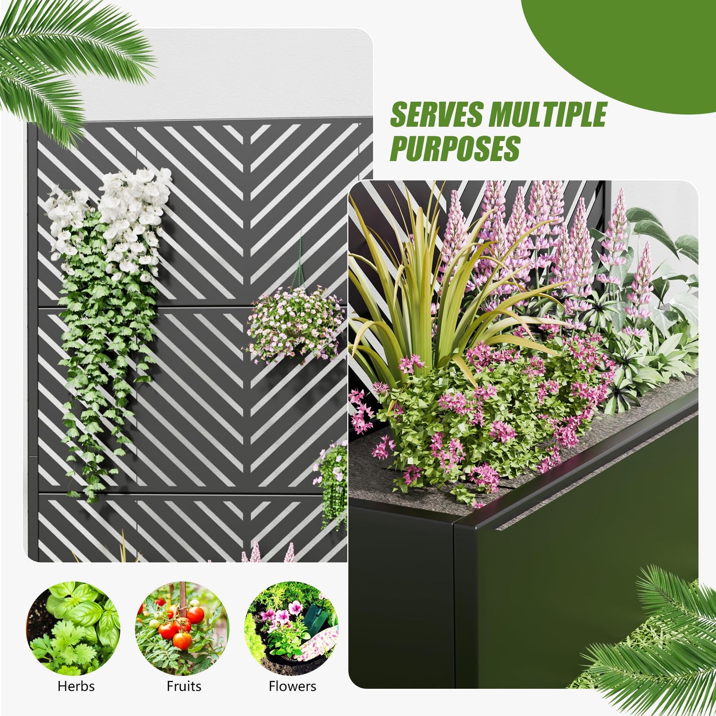 Casaphoria 72"x35" Metal Raised Garden Bed with Trellis(2 Pack), Outdoor Planter Box with Wheels & Drainage Holes for Climbing Plants, Flowers, Elevated Garden Kit with Privacy Screen, Black-Parallel