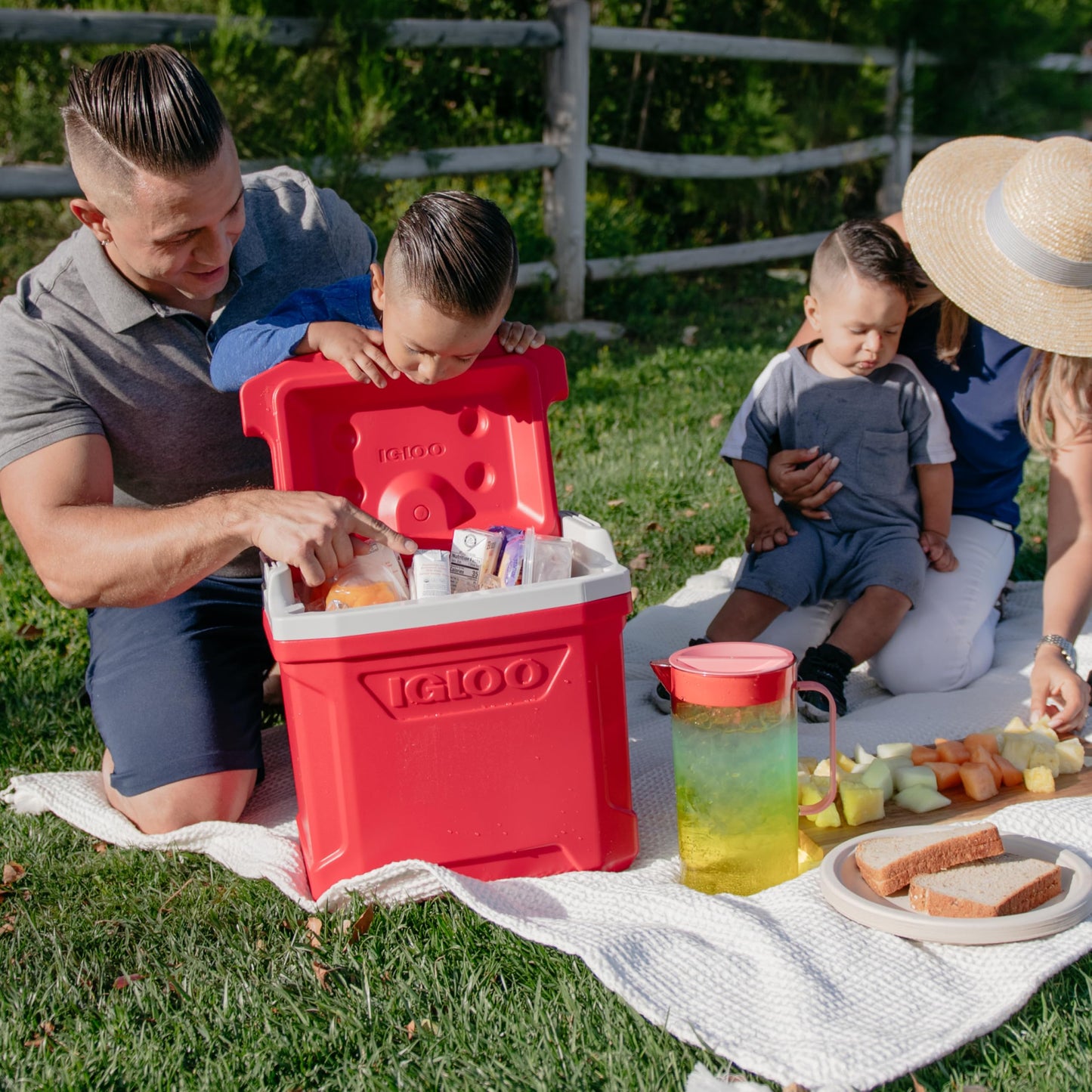 Igloo Profile II 16 Quart, red