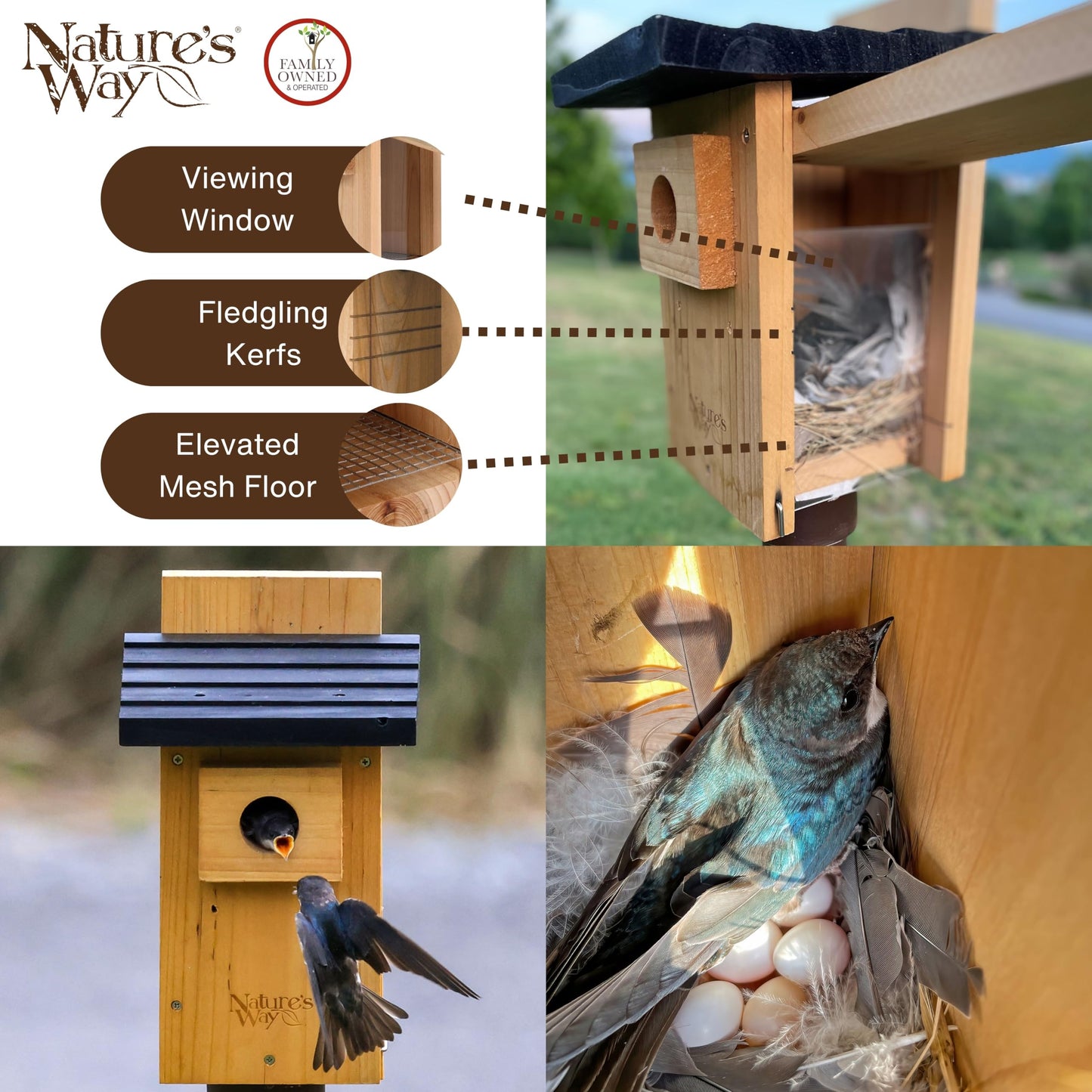 Nature's Way Bird Products CWH4 Cedar Bluebird Viewing House
