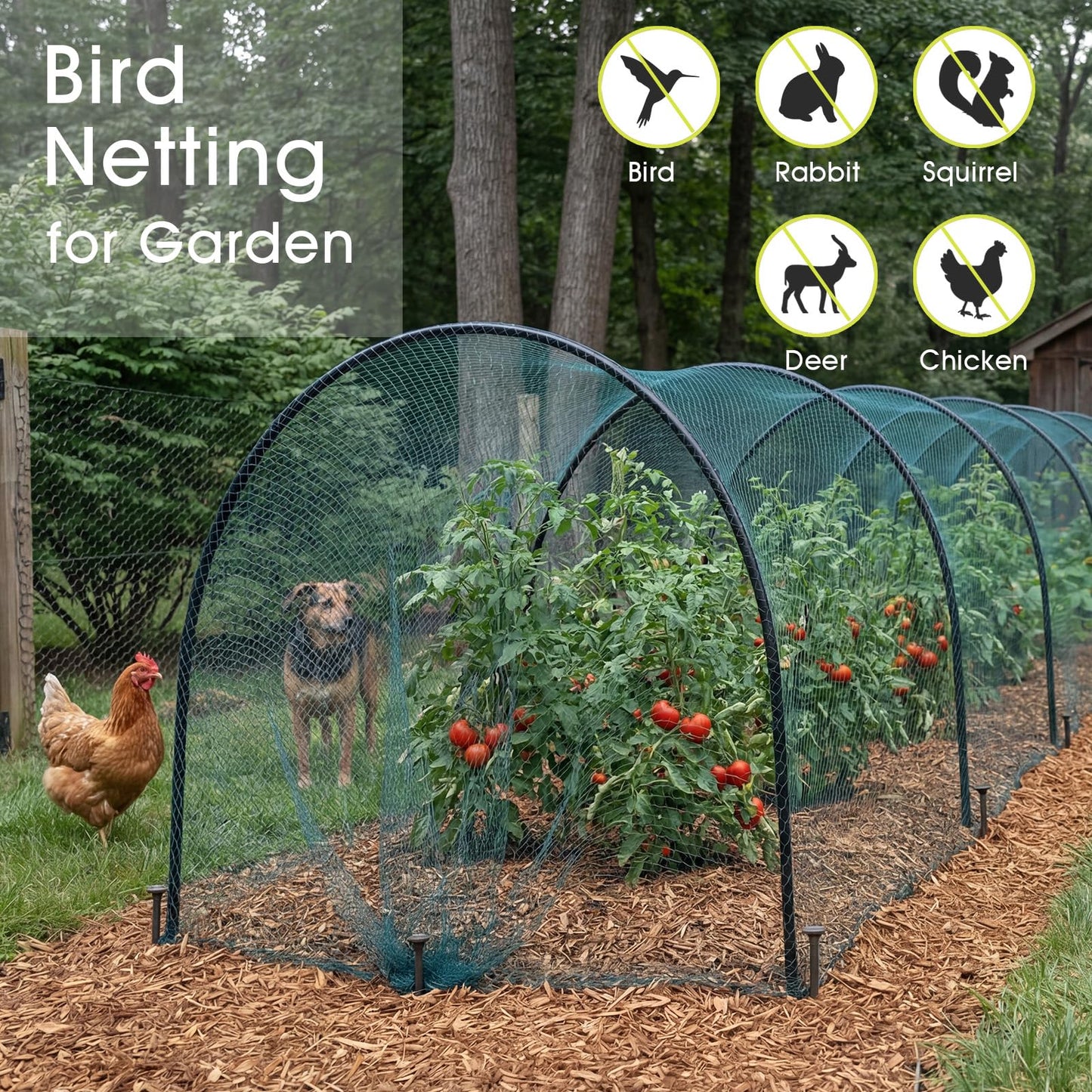 Bird Netting for Garden Protection, 13 x 40 FT Heavy Duty Garden Netting with Ties and Landscape Staples for Vegetable, Fruit Trees & Other Plants Against Birds Deer Squirrels and Poultry
