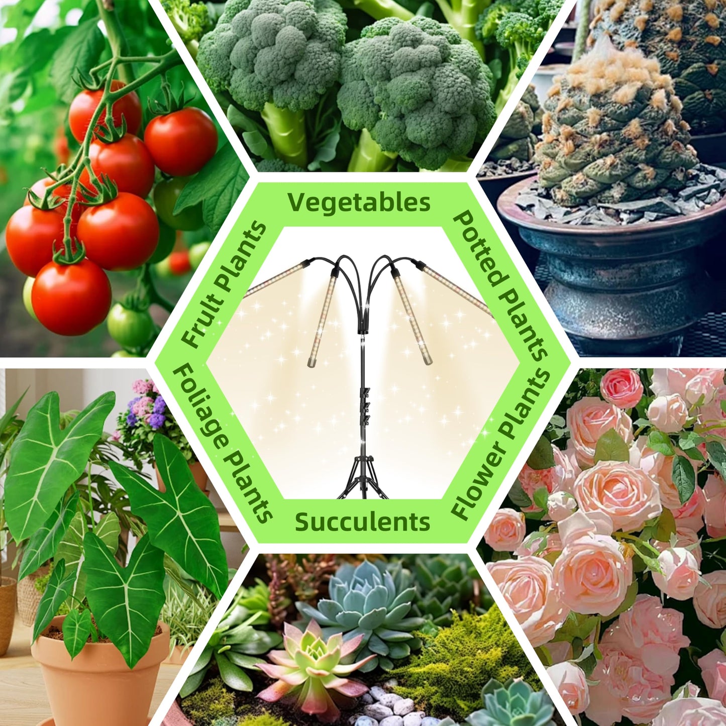 Grow Lights with Stand for Indoor Plants