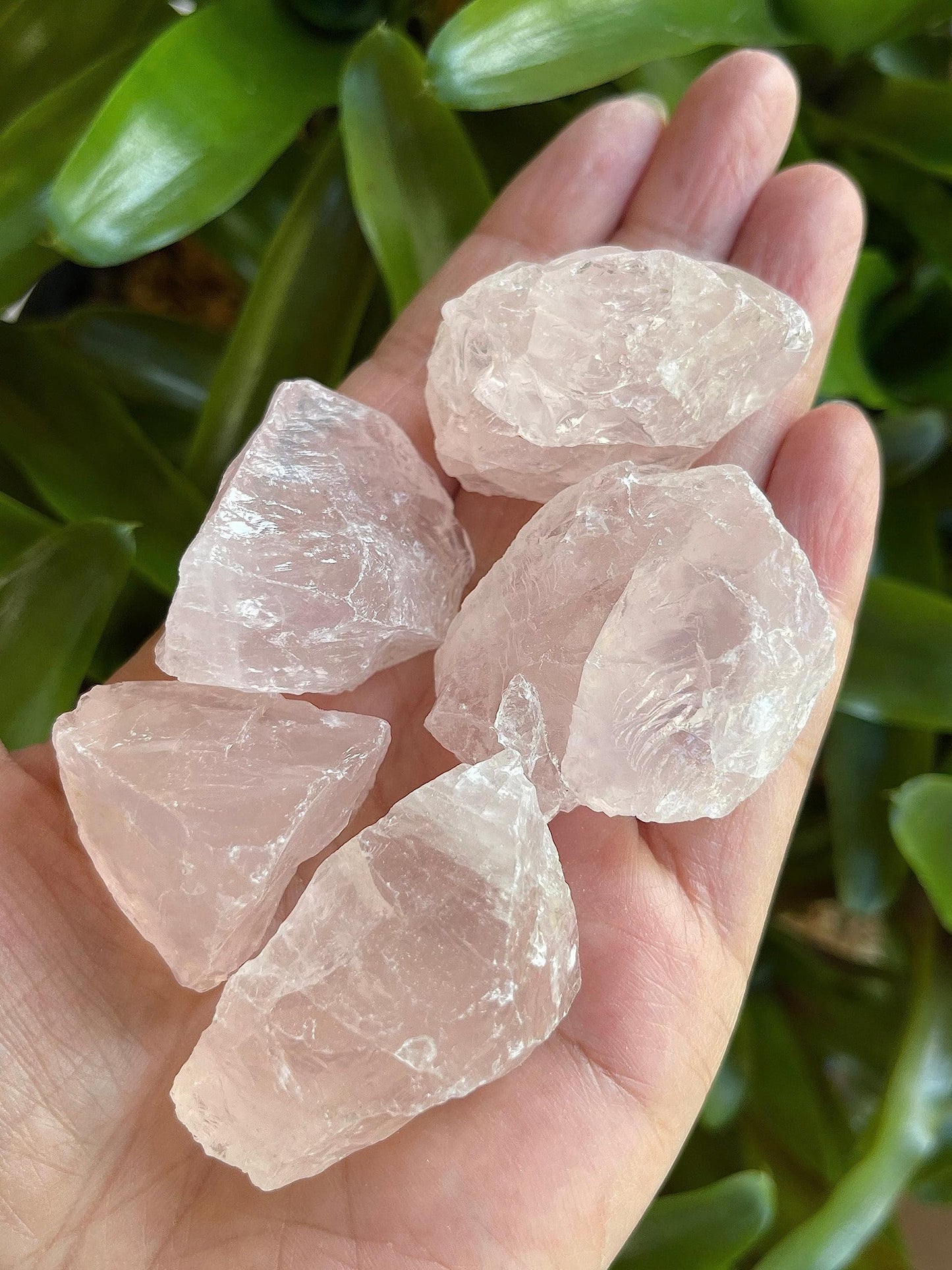 GAF TREASURES Wholesale Raw Rose Quartz Crystals, Natural Rose Quartz Stone, Natural Rough Rose Quartz Crystals, Rose Quartz Rough, Rose Quartz Healing Crystals (Rose Quartz, 0.5 Pound)