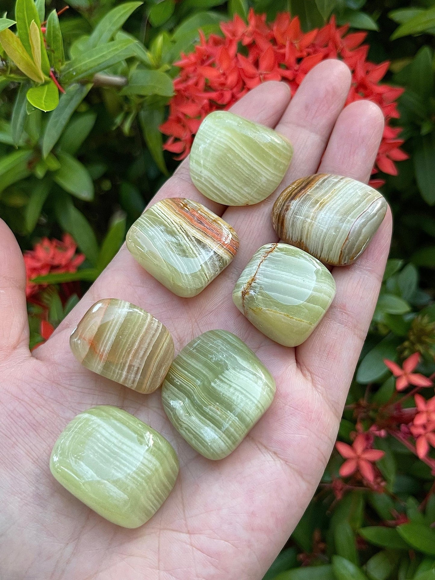 GAF TREASURES 5 Pcs Green Onyx Tumbled Stones, Polished Green Onyx Gemstone, Green Onyx Healing Crystals (Green Onyx)