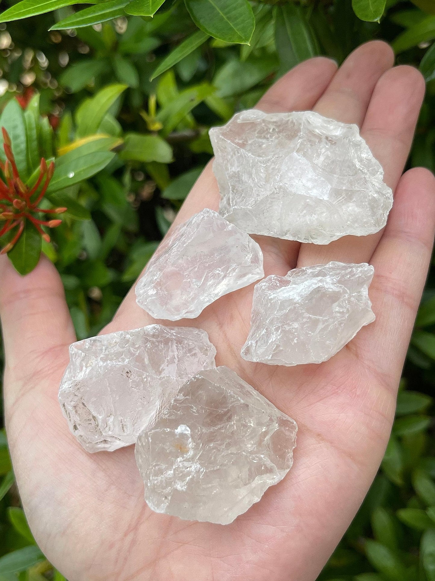 GAF TREASURES Wholesale Raw Clear Quartz Crystals, Natural Clear Quartz Stone, Natural Rough Clear Quartz Crystals, Clear Quartz Rough, Clear Quartz Healing Crystals (Clear Quartz, 0.5 Pound)
