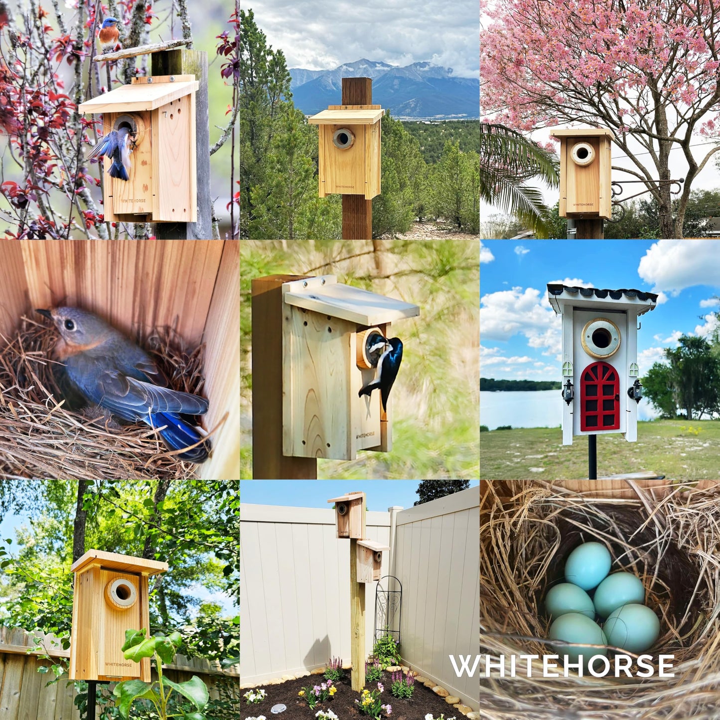 WHITEHORSE Bluebird House - Weatherproof Bird House for Outdoors - Cedar Birdhouse Built to NABS Specs - Nest Box for Bluebirds, Chickadees, Titmice, Wrens, Nuthatches & More (15” Floor)