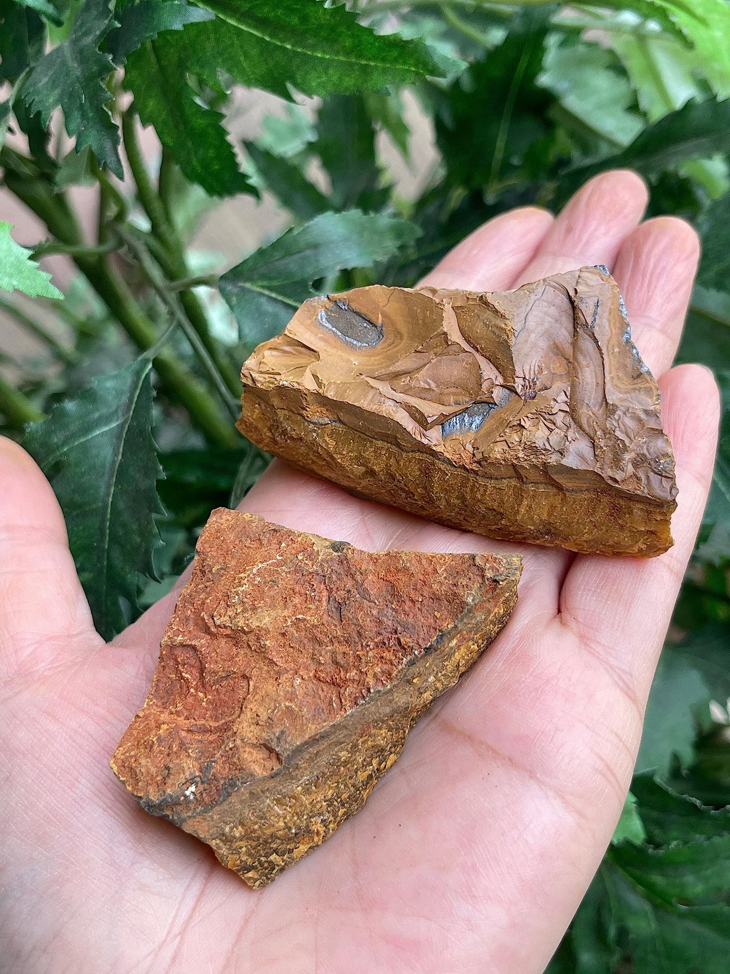 GAF TREASURES Wholesale Raw Tiger Eye Crystals, Natural Tiger Eye Stone, Natural Rough Tiger Eye Crystals, Tiger Eye Rough, Tiger Eye Healing Crystals (Tiger Eye, 0.5 Pound)