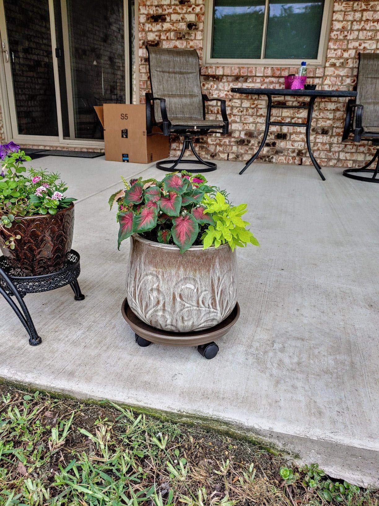 Coadura Plant Caddy with Wheels 15.5 Inch - 2 Pack Plant Caddy on Wheels Heavy Duty,Plant Dolly Plant Tray with Wheels Planter Caddies Indoor/Outdoor, Brown