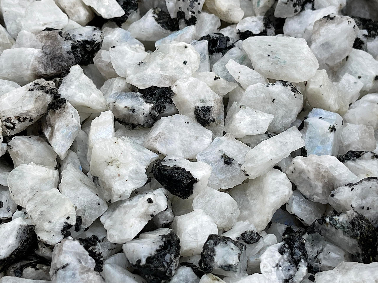 GAF TREASURES Wholesale Raw Rainbow Moonstone Crystals, Natural Rainbow Moonstone Stone, Rainbow Moonstone Rough, Rainbow Moonstone Healing Crystals (Rainbow Moonstone, 0.25 Pound)
