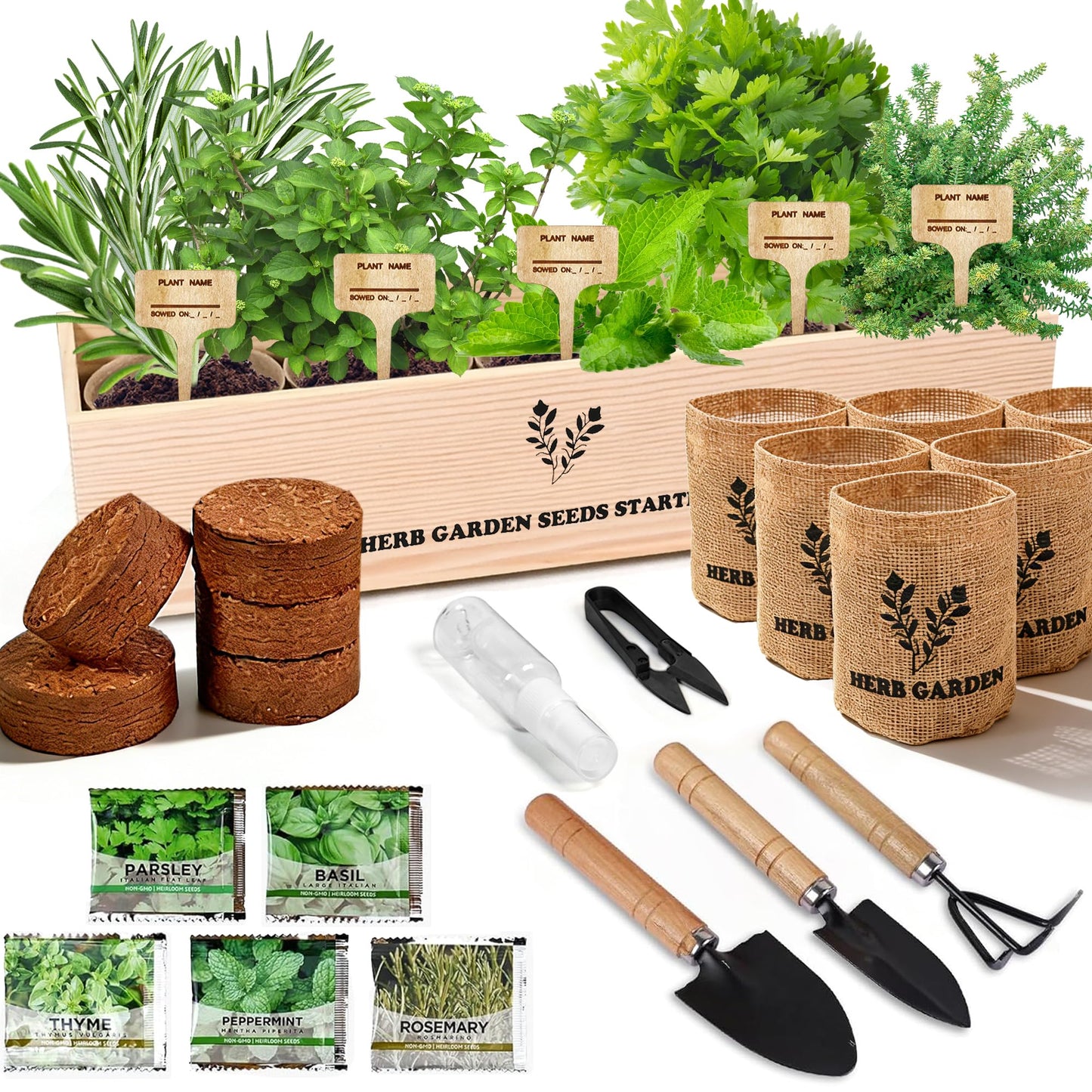 Sproutix Indoor Herb Garden Starter Kit, 5 Seeds Growing into Basil, Parsley, Rosemary, Thyme, Mint, Including A Planter Box, Soil Discs & Planters with A Gift Box for Women