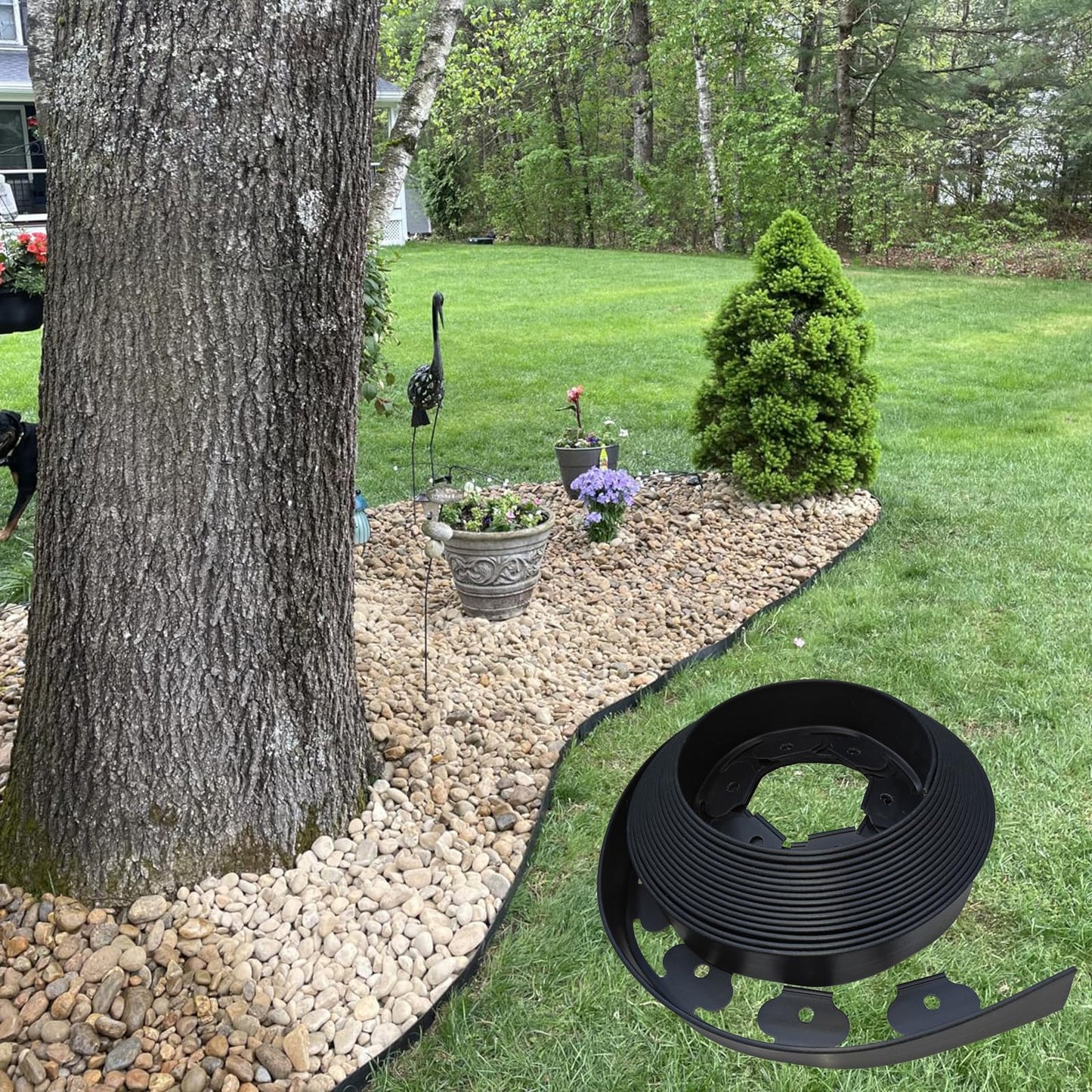 Asoleo Garden Edging, 40FT Landscape Edging with 40 Landscape Spikes, Pever Edging, No Dig Garden Edging Lawn Border, Border Edging for Landscaping