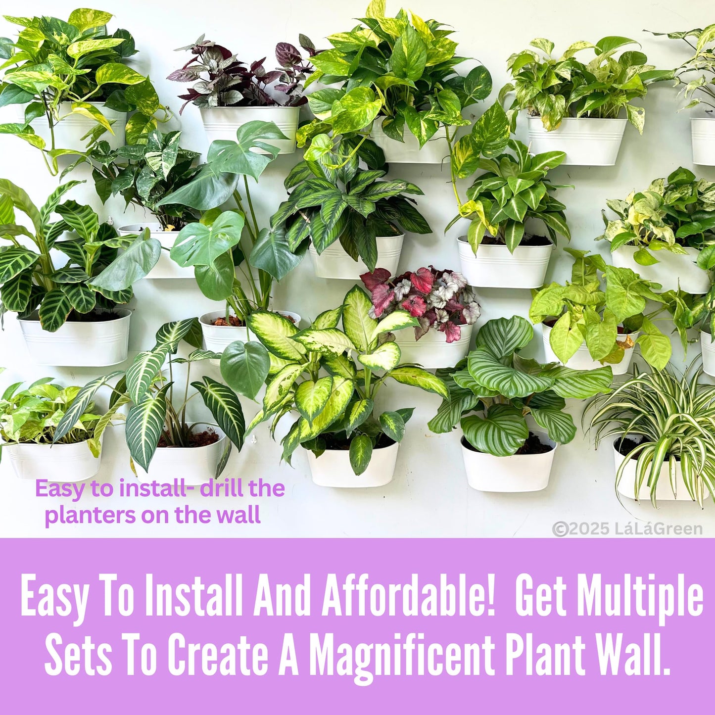 LaLaGreen Wall Planter (9.8 Inch, 8 Pack) White Oval Metal Wall Planters for Indoor Plants Hanging Decor Plant Holder Home Pots Mounted Garden Flower Balcony Decoration Porch Drainage Pot Baskets