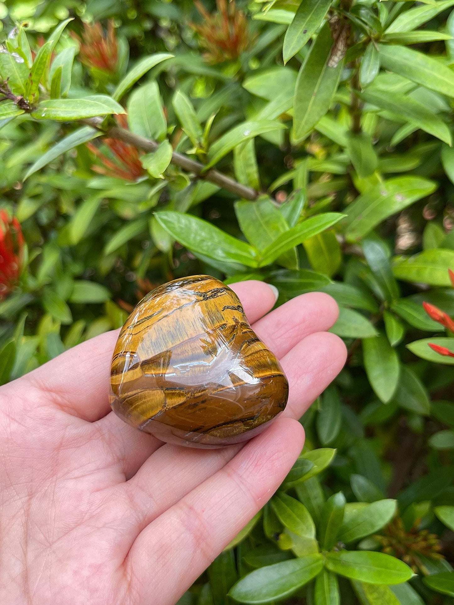 Tiger Eye Gemstone Hearts, Polished Tiger Eye Puffy Hearts, Tiger Eye Crystal Palm Stone, Tiger Eye Healing Crystal Hearts (1 Heart)
