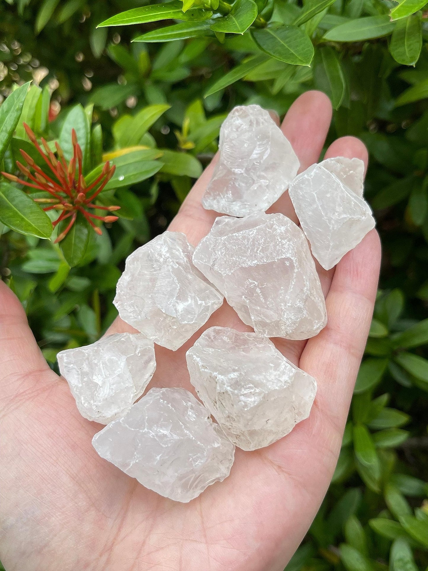 GAF TREASURES Wholesale Raw Clear Quartz Crystals, Natural Clear Quartz Stone, Natural Rough Clear Quartz Crystals, Clear Quartz Rough, Clear Quartz Healing Crystals (Clear Quartz, 0.5 Pound)