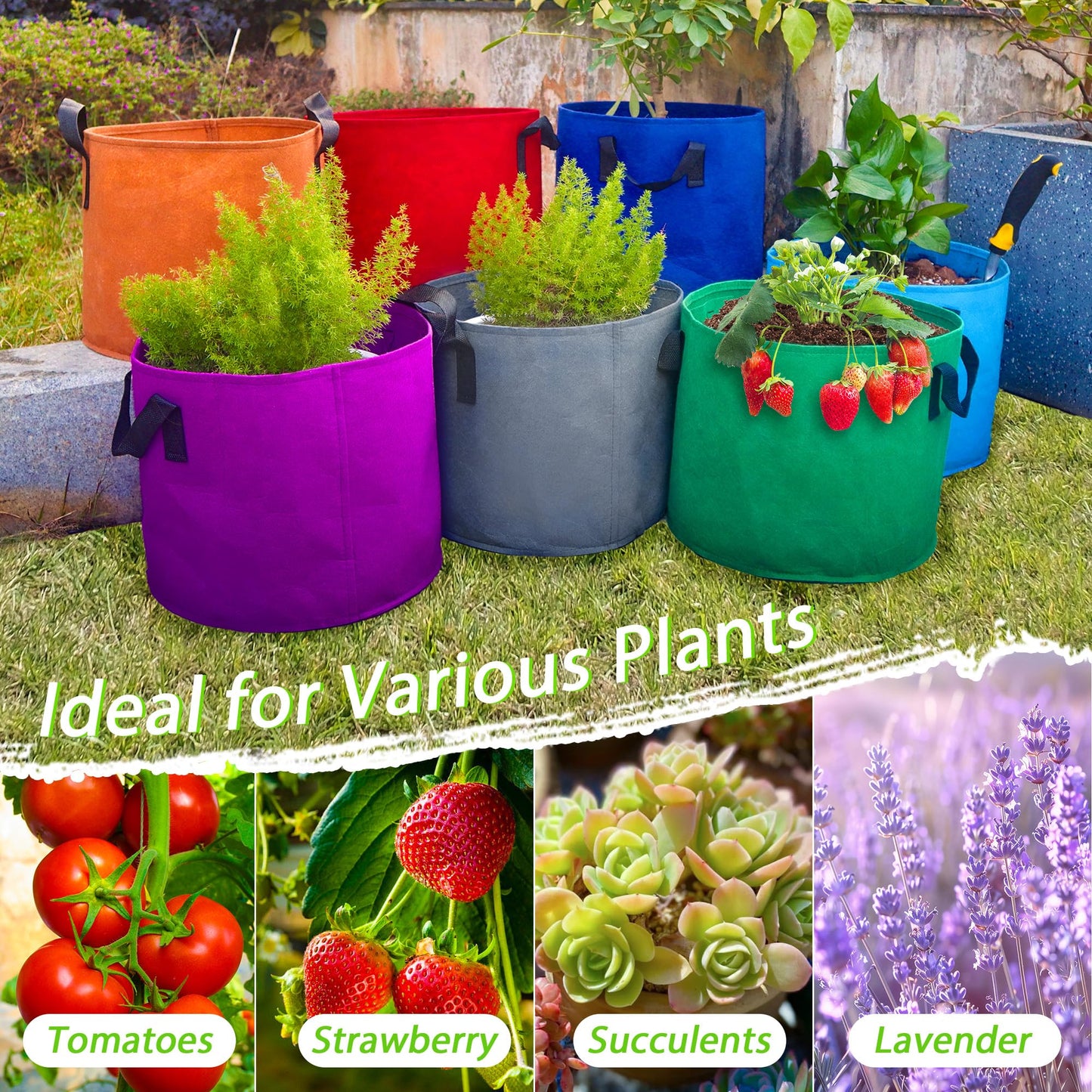 7 Pack 7 Gallon Plant Grow Bags - Mixed 7 Colors with Reinforced Handles & Aeration Design, Ideal for Tomato, Flowers & Fruits