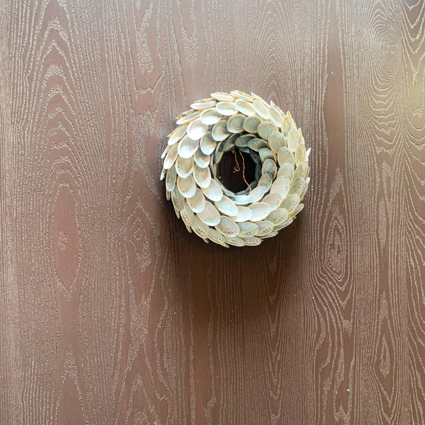 Heyiwell 10" Inch Abalone Shell Wreaths for Wedding Beach Home Wall Art Indoor Outdoor Front Door Decor