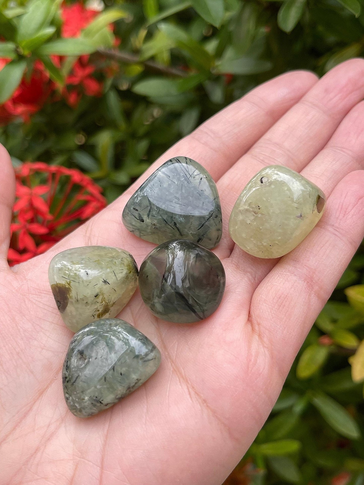 GAF TREASURES 5 Pcs Prehnite with Rutile Tumbled Stones, Polished Natural Prehnite with Rutile Gemstone, Prehnite with Rutile Healing Crystals (Prehnite with Rutile)
