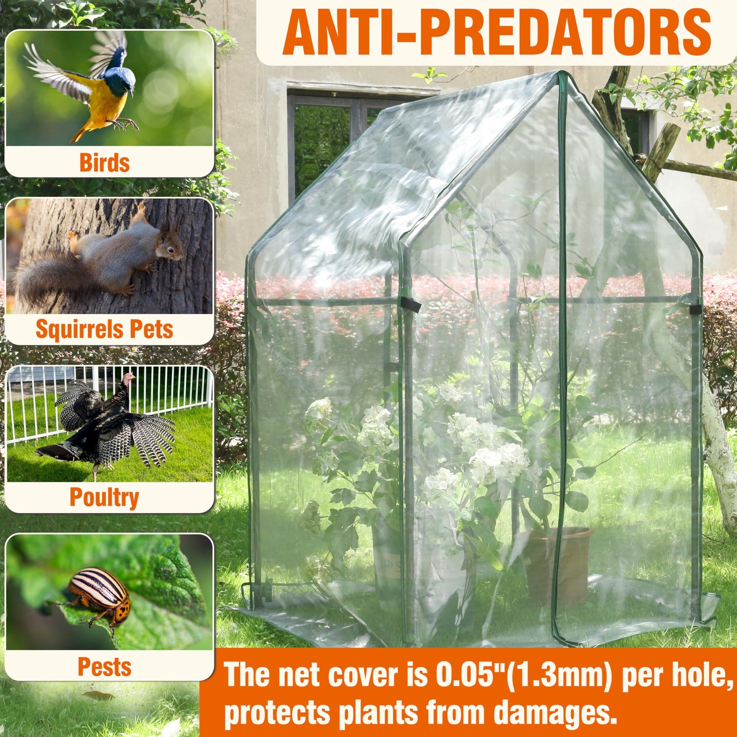 Gardzen Mini Greenhouse with Mesh Cover, Portable Outdoor Greenhouse, Enhanced Ventilation, Ideal for Spring, Summer & Fall 36.2"(L) x36.2(W) x59.5(H)