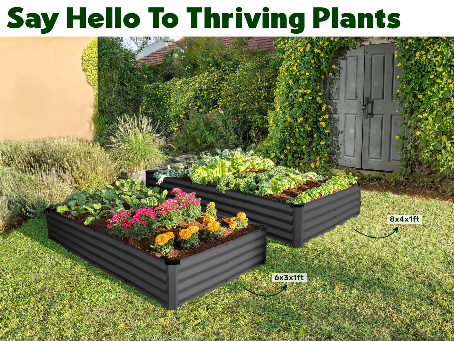 Plant & Plot Galvanized Raised Garden Beds Outdoor // 8×4×1 ft (2-Pack) Planter Raised Beds for Gardening, Vegetables, Flowers // Large Metal Garden Box // Patented Tool-Free Design (Dark Gray)